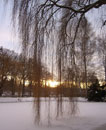 Foto Sylvia Wentzlau