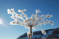 © Foto: Petra Wiedenbrueck/pixelio.de